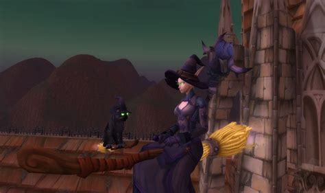 The Magic Broom: A 2-in-1 tool for transportation and combat in World of Warcraft